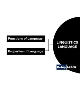 Linguistic Anthropology: Language, Culture, Features