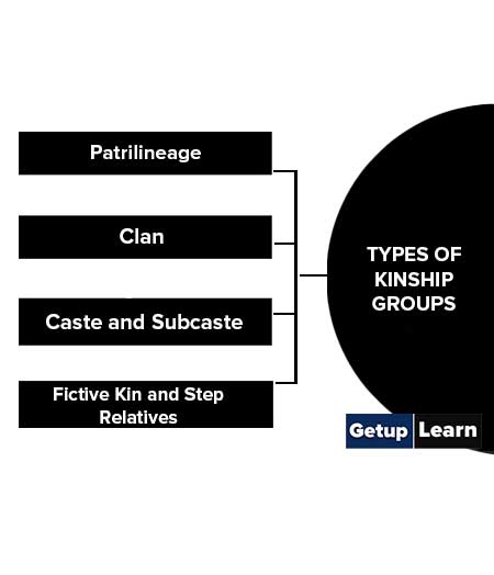 Types of Kinship Groups