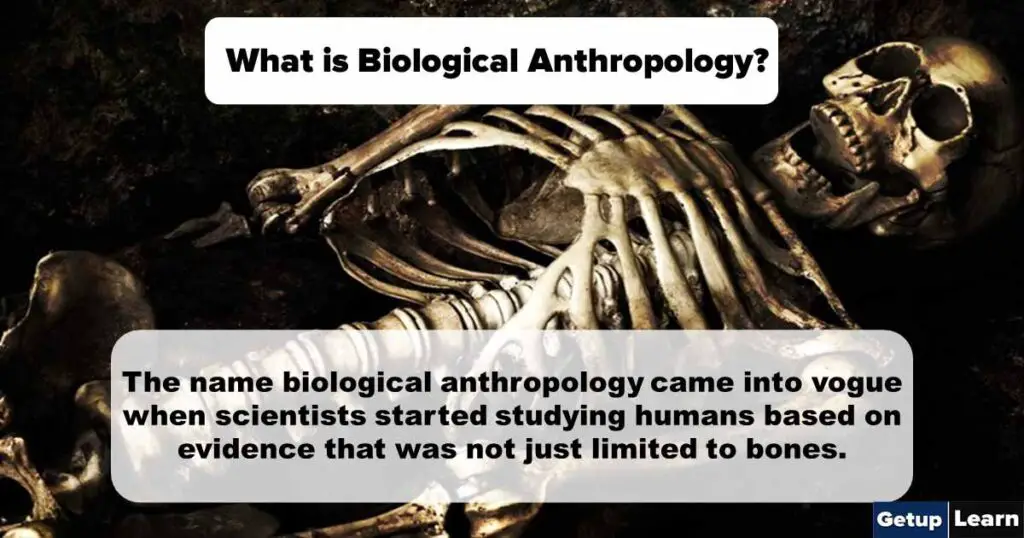 What is Biological Anthropology