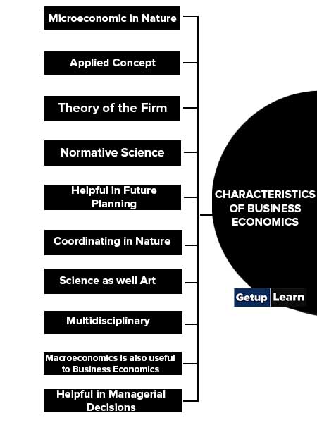 Characteristics of Business Economics