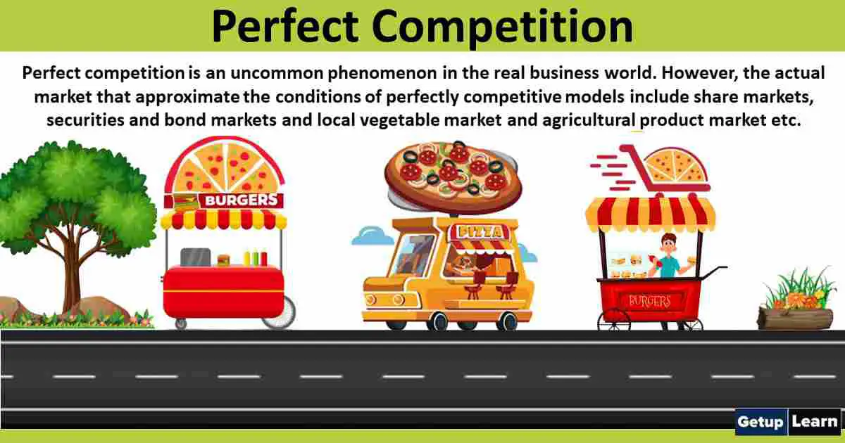 What is Perfect Competition