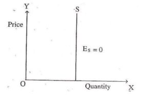 what is supply? Definitions, Determinants, Laws, Elasticity