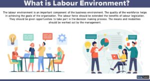What is Labour Environment