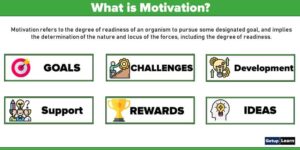 Read more about the article Motivation in Hrm: Definition, Nature, Importance, Characteristics, Types