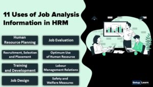Read more about the article Uses of Job Analysis Information in HRM