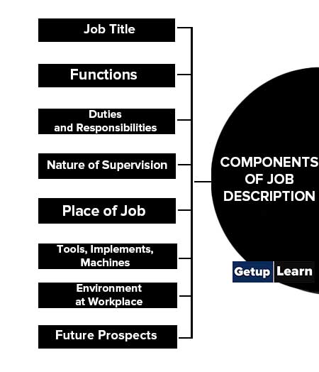 8 Components of Job Description