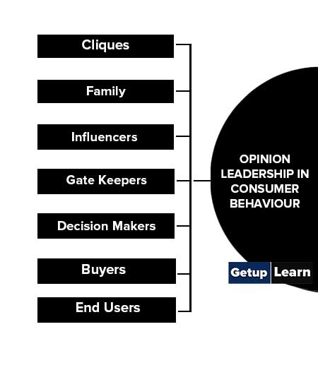 Opinion Leadership in Consumer Behaviour