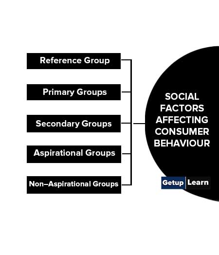 Social Factors Affecting Consumer Behaviour