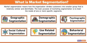 What is Market Segmentation