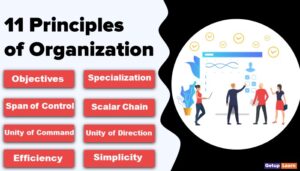 11 Principles of Organization