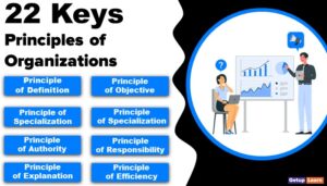 Key Principles of Organizations