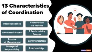 Read more about the article 13 Characteristics of Coordination
