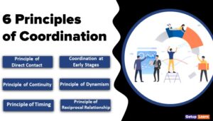 Read more about the article 6 Principles of Coordination