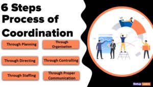 Process of Coordination