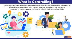 Read more about the article Controlling: Meaning, Definition, Importance, Process, Characteristics, Elements