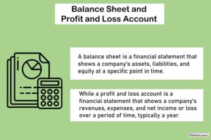 Balance Sheet and Profit and Loss Account