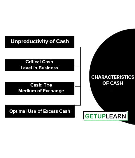Characteristics of Cash