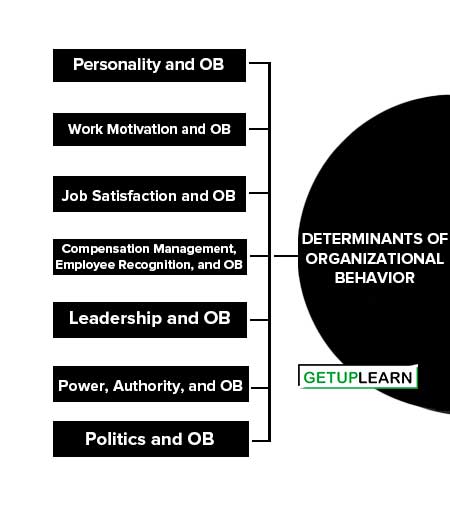 Determinants of Organizational Behavior