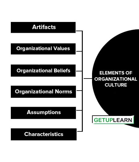 Elements of Organizational Culture