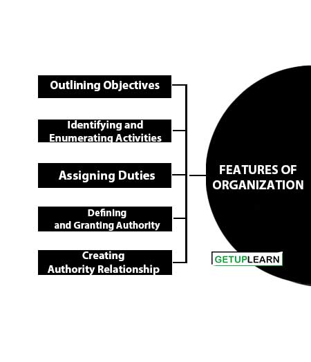Features of Organization