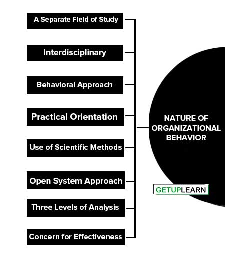 Nature of Organizational Behavior