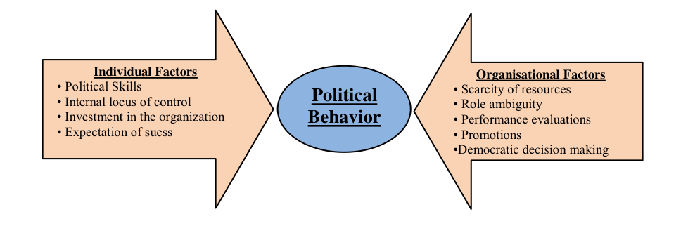 Factors Influencing Political Behavior