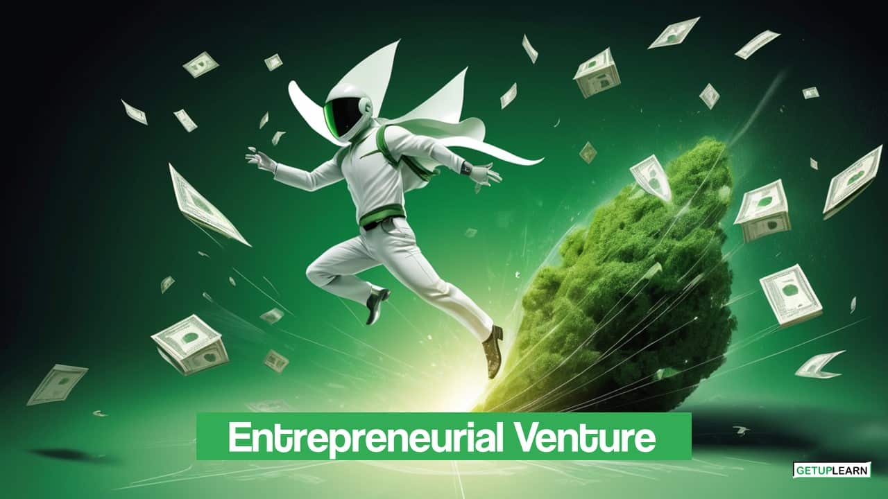 entrepreneurial venture essay